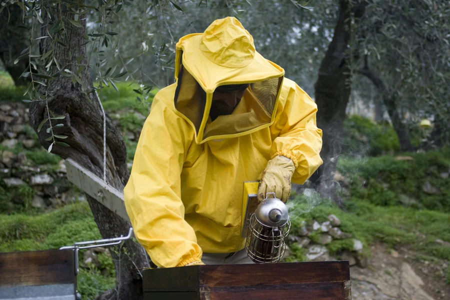 Professional Bee Control
