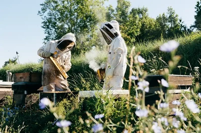 Bee Gardening Control